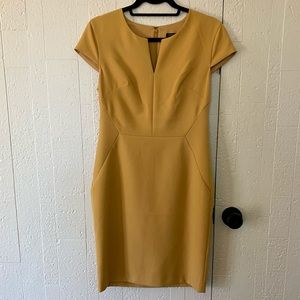 ✨NWT Banana Republic Sheath Dress